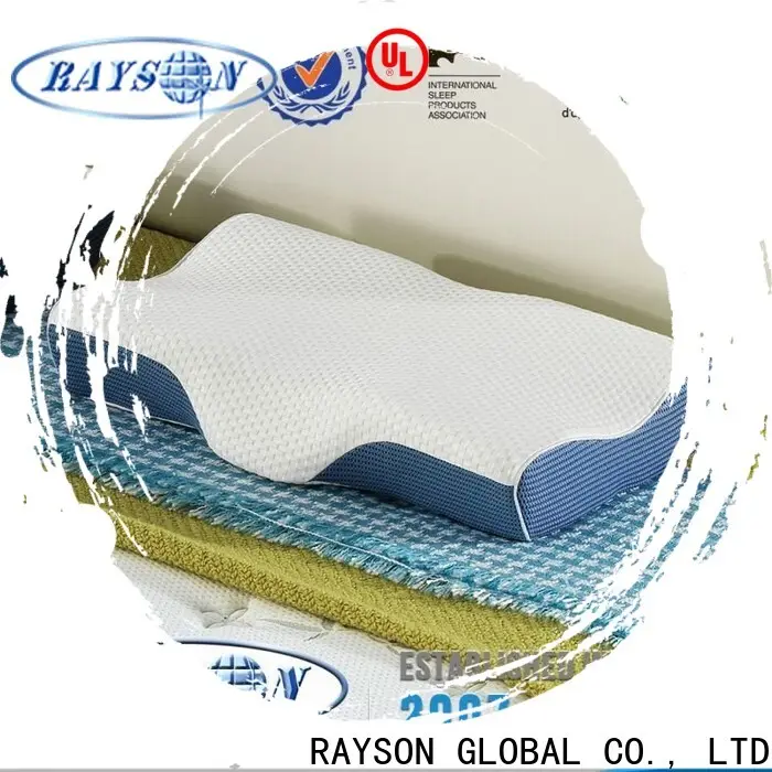 Rayson Mattress High-quality memory foam pet bed Supply 1