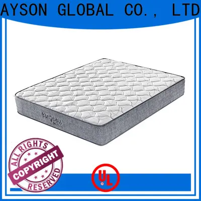 Rayson Mattress foam twin size roll up mattress Supply 1