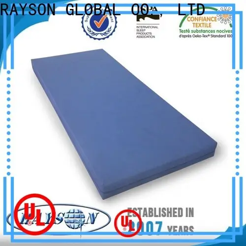 Rayson Mattress customized z by malouf natural talalay latex zoned pillow manufacturers27 1