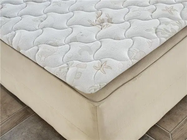 Rayson Mattress customized z by malouf natural talalay latex zoned pillow manufacturers217 3