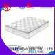 Rayson Mattress european spring mattress vs foam mattress Supply 1