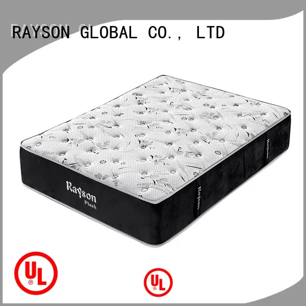 Custom spring foam high quality Suppliers 1