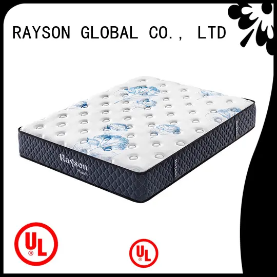 Rayson Mattress foam memory foam futon mattress Supply1 1