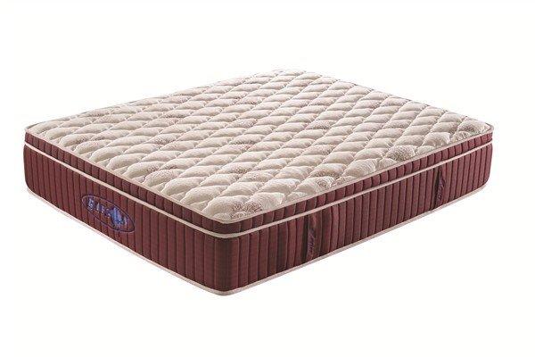 Rayson Mattress customized z by malouf natural talalay latex zoned pillow manufacturers205 8