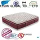 Rayson Mattress plush hotel grade mattress Suppliers 1
