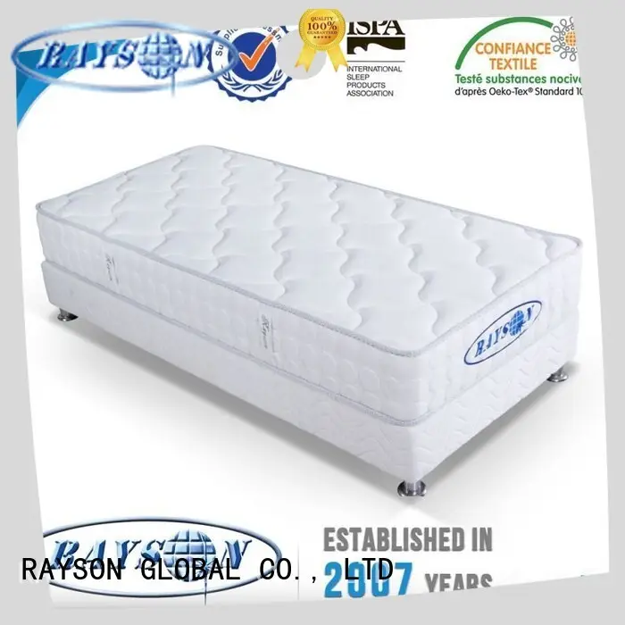 Rayson Mattress euro outlast mattress protector Supply 1
