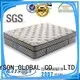 Rayson Mattress plush foam vs spring mattress Supply 1
