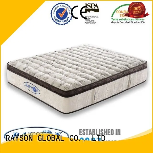 New foam mattress and spring mattress firm Supply 1