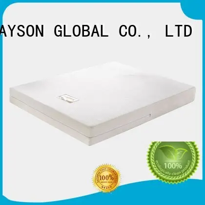 Rayson Mattress pack polyurethane foam chemistry Suppliers 1