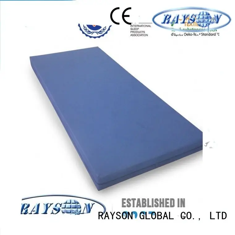 Rayson Mattress customized z by malouf natural talalay latex zoned pillow manufacturers226 1