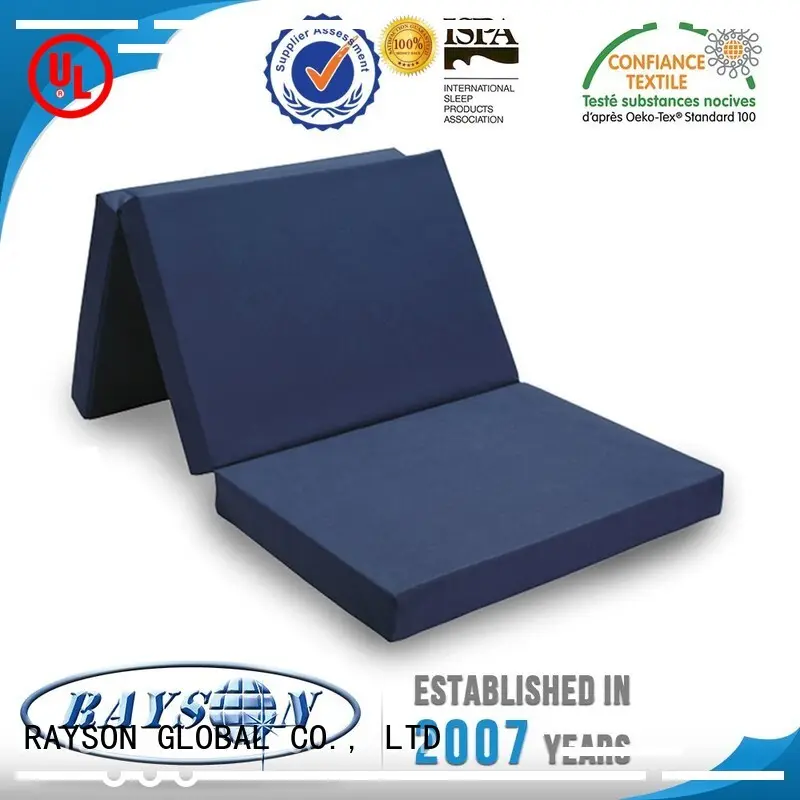 Rayson Mattress customized z by malouf natural talalay latex zoned pillow manufacturers227 1