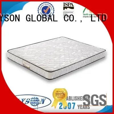 Rayson Mattress customized z by malouf natural talalay latex zoned pillow manufacturers229 1