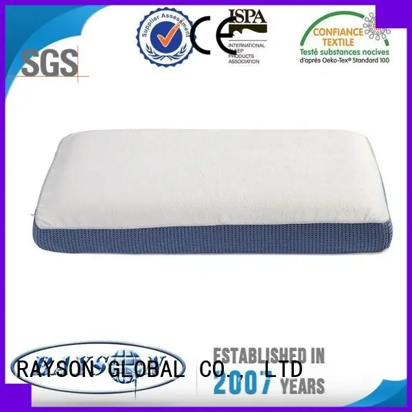 Rayson Mattress high quality viscoelastic pillow Supply 1