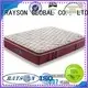 Rayson Mattress king best hotel bed pillows Supply 1