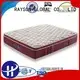 Rayson Mattress top marriott hotel bedding Supply 1