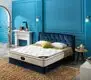 french bed base filler thickness on Rayson Mattress Brand 2