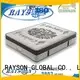 importer nattress tree 5 star hotel mattress Rayson Mattress Brand 1