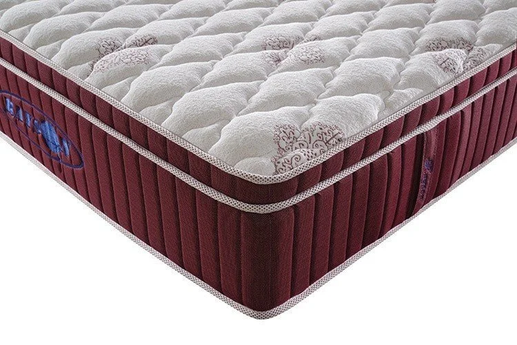 renewable flexible soft 5 star hotel mattress Rayson Mattress Brand 6