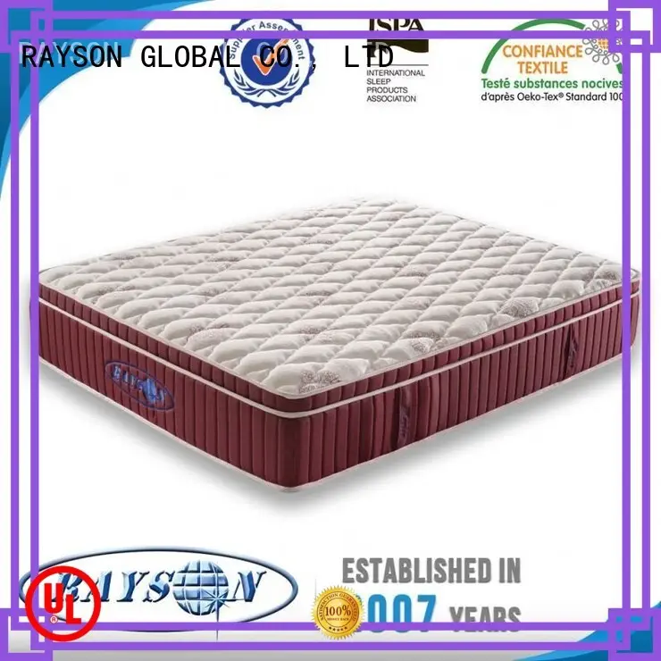 Rayson Mattress Brand pad down star hotel mattress 6inch 1
