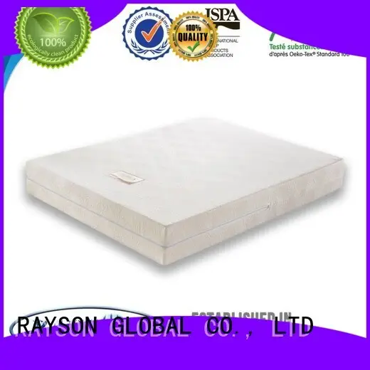 vacuum compressed website best quality memory foam mattress Rayson Mattress manufacture 1