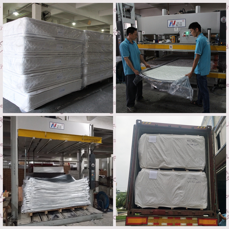 Morekisi oa materase oa Euro o holimo oa pocket ea selemo oa China 12