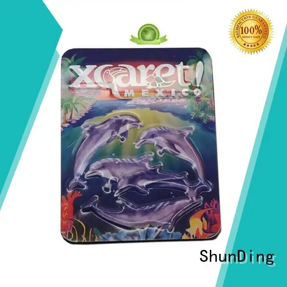 pin Custom metal souvenir metal badge ShunDing adhesive 1