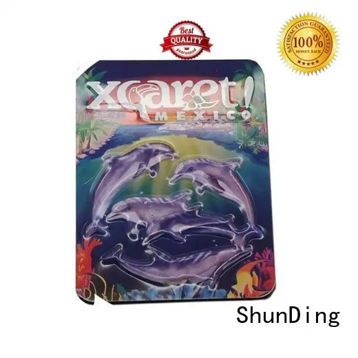 ShunDing style metal badge manufacturers experts for meeting 1
