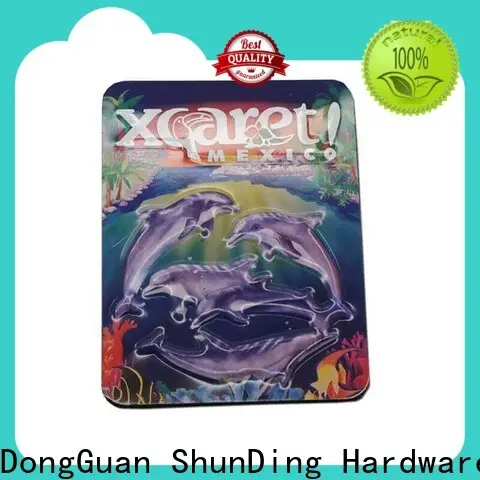 ShunDing stable metal badge manufacturers marketing for activist 1