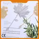 Bookmark Manufacturer 7- 15 Dayscompany 1