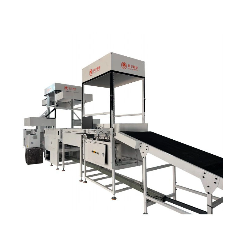 Dynamic DWS Sorting System/Smart DWS02-FJ 1