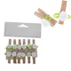 Tangchen Top photo pegs for business for christmas 1