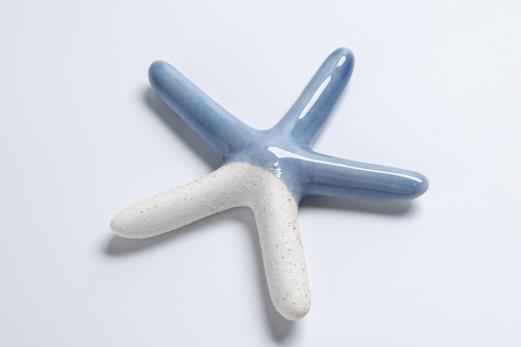 Fábrica de decoración de estilo náutico de cerámica estrella de mar artesanías creativas modernas decoración marina 1