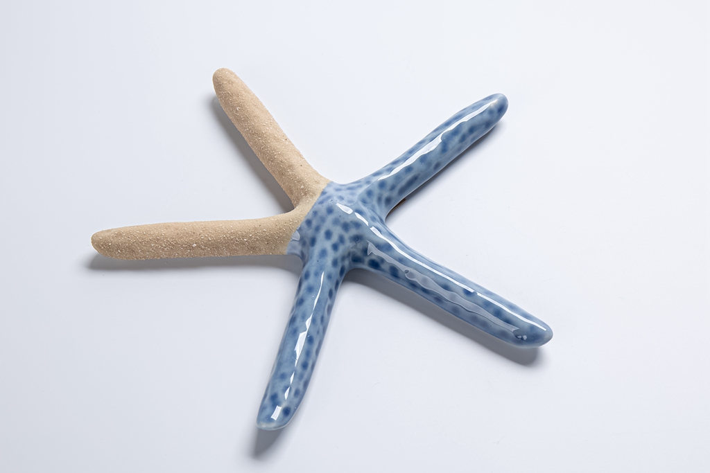 Fábrica de decoración de estilo náutico de cerámica estrella de mar artesanías creativas modernas decoración marina 5