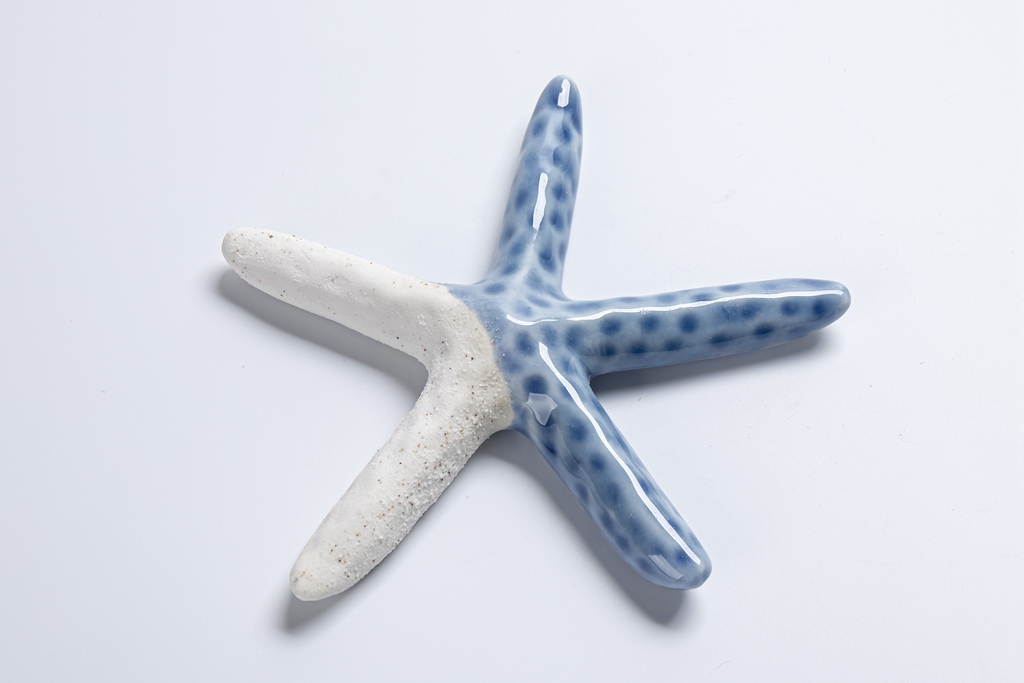 Fábrica de decoración de estilo náutico de cerámica estrella de mar artesanías creativas modernas decoración marina 8