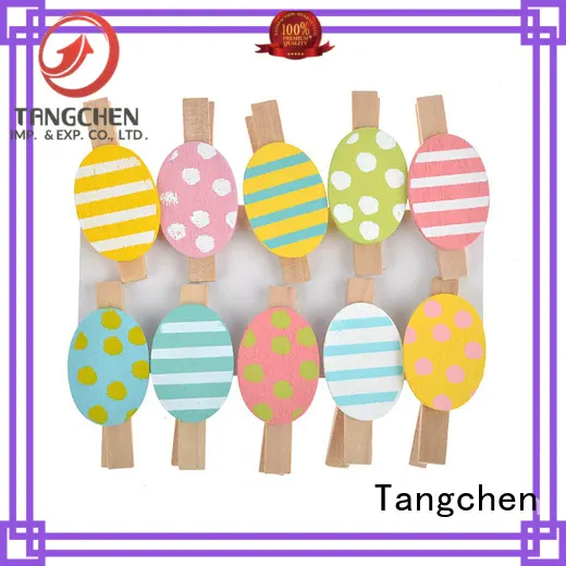 Tangchen kids easter ornaments factory for home 1
