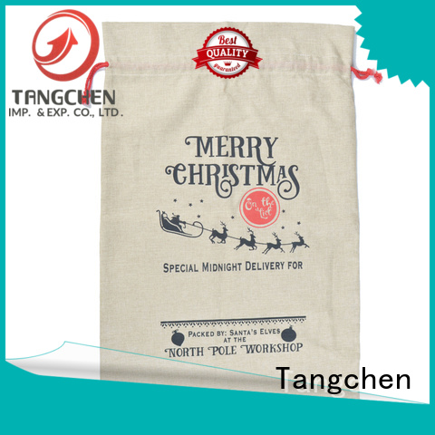 Tangchen panda large outdoor christmas decorations for business for home 1