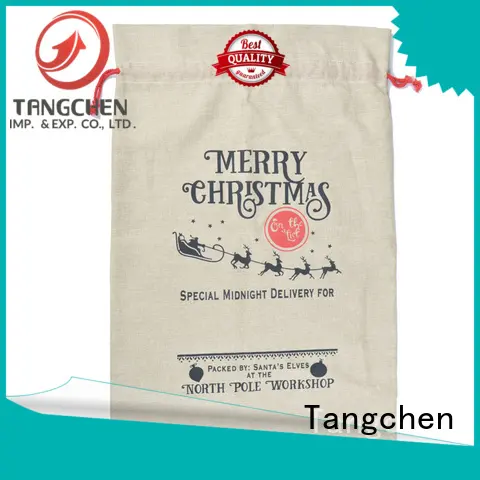 Tangchen panda large outdoor christmas decorations for business for home 1