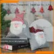 Tangchen canvas Gift Sacks manufacturers for chiristmas tree 1