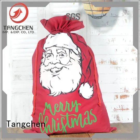 Tangchen model hanging christmas decorations factory for holiday decoration 1