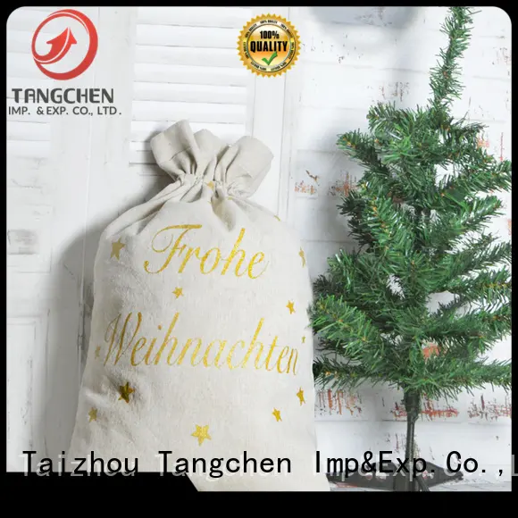 Tangchen forest blue christmas decorations company for home decoration 1