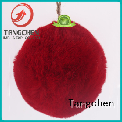 Tangchen indoor christmas decorations online Supply for christmas 1