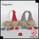 Tangchen Wholesale holiday decorating ideas for business for home 1