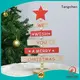 Tangchen holiday best christmas decorations manufacturers for home 1