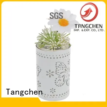 Tangchen Wholesale unique christmas tree decorations for business for home 1