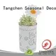 Tangchen girl easter bunny decorations Supply for home 1