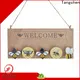 Tangchen High-quality unique outdoor christmas decorations for business for home 1