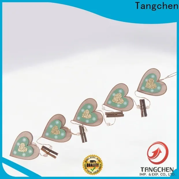 Tangchen skating christmas light decorations company for home 1