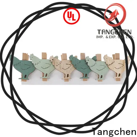 Tangchen fun easter bunny decorations company for home decoration 1