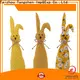 Tangchen idear easter party decorations Supply for holiday decoration 1
