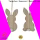 Tangchen rabit easter party decorations factory for home 1